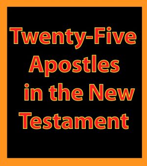 Twenty-Five Apostles in the New Testament: eBook